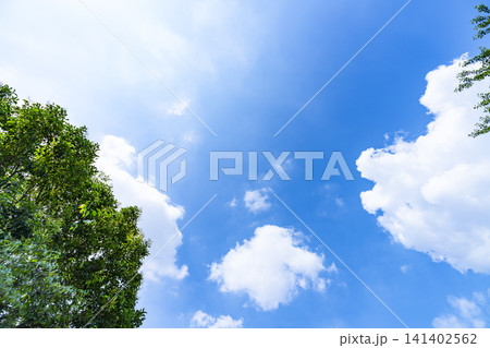 夏の青空と雲と樹木 夏の青空と雲と樹木 141402562