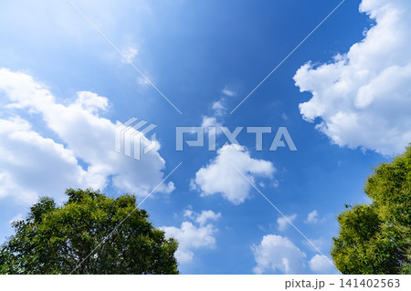 夏の青空と雲と樹木 夏の青空と雲と樹木 141402563