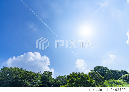 夏の青空と雲と樹木 141402565