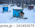 Sled dog houses at Listvyanka town, Russia. Sled dog houses are specialized shelters designed to keep working dogs warm and dry in Arctic environments. 141402679