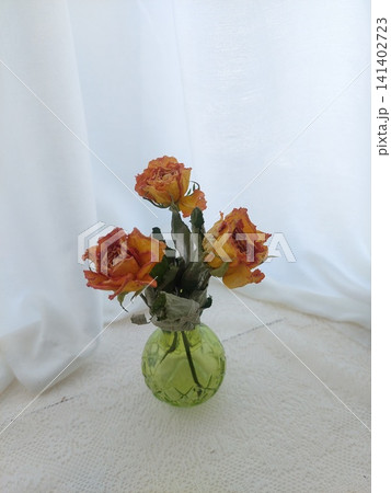 出窓に飾った薔薇 出窓に飾った薔薇 141402723