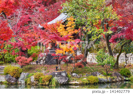 京都 永観堂(禅林寺)弁天社 美しい秋の紅葉(京都府京都市左京区) 京都 永観堂(禅林寺)弁天社 美しい秋の紅葉(京都府京都市左京区) 141402779