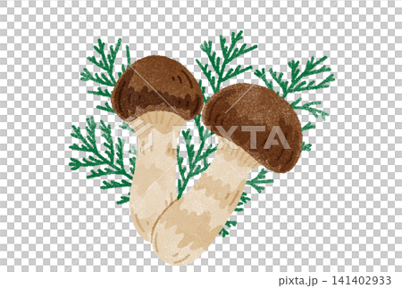 Watercolor illustration of a matsutake mushroom Watercolor illustration of a matsutake mushroom 141402933