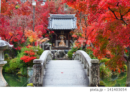 京都 永観堂(禅林寺)弁天社 美しい秋の紅葉(京都府京都市左京区) 京都 永観堂(禅林寺)弁天社 美しい秋の紅葉(京都府京都市左京区) 141403054