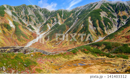 青空と紅葉する室堂平絶景　立山黒部アルペンルート　富山県 141403312