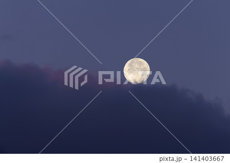 夜明けの月 夜明けの月 141403667