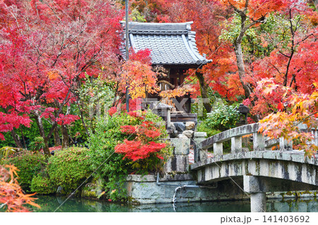 京都 永観堂(禅林寺)弁天社 美しい秋の紅葉(京都府京都市左京区) 京都 永観堂(禅林寺)弁天社 美しい秋の紅葉(京都府京都市左京区) 141403692