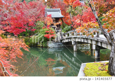 京都 永観堂(禅林寺)弁天社 美しい秋の紅葉(京都府京都市左京区) 京都 永観堂(禅林寺)弁天社 美しい秋の紅葉(京都府京都市左京区) 141403877