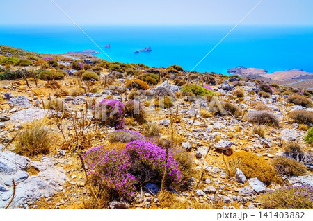 Xerokambos coastline 141403882