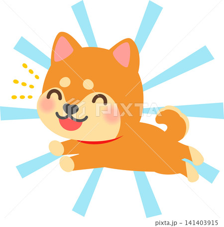 楽しそうに走る柴犬のデフォルメイラスト 楽しそうに走る柴犬のデフォルメイラスト 141403915