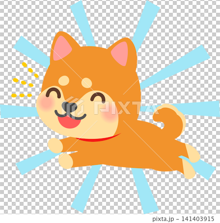 楽しそうに走る柴犬のデフォルメイラスト 楽しそうに走る柴犬のデフォルメイラスト 141403915