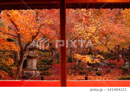 京都の寺院の座敷から見た紅葉した庭園 141404221