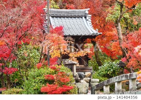 京都 永観堂(禅林寺)弁天社 美しい秋の紅葉(京都府京都市左京区) 京都 永観堂(禅林寺)弁天社 美しい秋の紅葉(京都府京都市左京区) 141404356