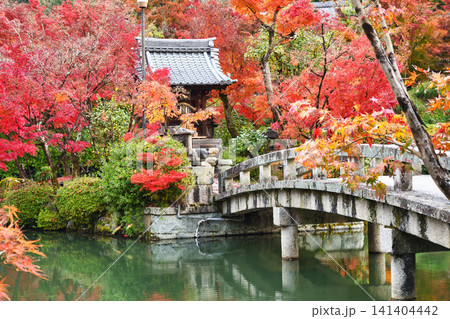京都 永観堂(禅林寺)弁天社 美しい秋の紅葉(京都府京都市左京区) 京都 永観堂(禅林寺)弁天社 美しい秋の紅葉(京都府京都市左京区) 141404442