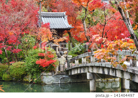 京都 永観堂(禅林寺)弁天社 美しい秋の紅葉(京都府京都市左京区) 京都 永観堂(禅林寺)弁天社 美しい秋の紅葉(京都府京都市左京区) 141404497
