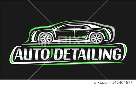 Vector logo for Car Detailing 141404677