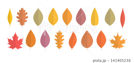 Autumn Leaves Collection Autumn Leaves Collection 141405238