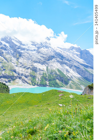 Scenic landscape of Oeschinensee or turquoise Oeschinen Lake in summer under blue sky with wildflowers and Stunning Swiss Alps. Spectacular green meadow hiking trail view, Kandersteg, Switzerland 141405499