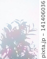 Vintage and colorful plant shadows 141406036