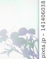 Vintage and colorful plant shadows 141406038