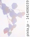 Vintage and colorful plant shadows 141406039