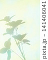 Vintage and colorful plant shadows 141406041