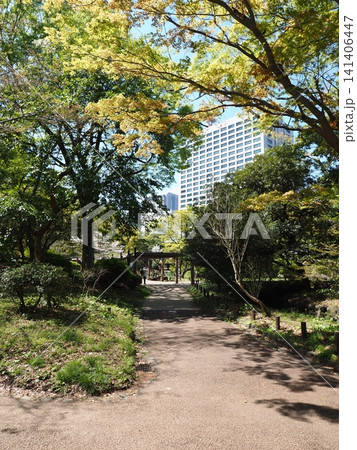 日比谷公園の風景 日比谷公園の風景 141406447