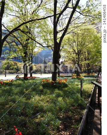 日比谷公園の風景 日比谷公園の風景 141406458