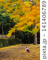 犬と紅葉と落ち葉 141406789