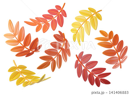 Set of colorful 3D fall autumn rowan leaves in orange, red and yellow colors isolated on background. Foliage elements for seasonal design, autumn decoration, harvest graphics, Halloween, Thanksgiving Set of colorful 3D fall autumn rowan leaves in orange, red and yellow colors isolated on background. Foliage elements for seasonal design, autumn decoration, harvest graphics, Halloween, Thanksgiving 141406883