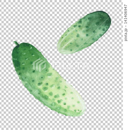 Cucumbers. Watercolor illustration. Handmade art work. For packaging design, cards, cover, prints, product labels and fabric. 141406947