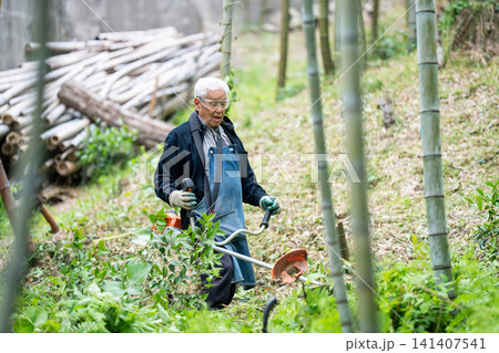 初夏に草刈り機で竹林の草刈りをする高齢男性 初夏に草刈り機で竹林の草刈りをする高齢男性 141407541