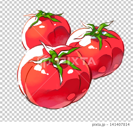 Tomatoes / Multiple / Summer Vegetables / Summer / Illustration Material / PNG Material Tomatoes / Multiple / Summer Vegetables / Summer / Illustration Material / PNG Material 141407814
