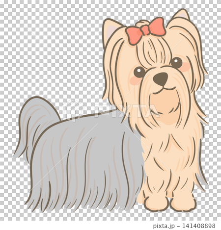 A hand-drawn illustration of a long-haired Yorkshire Terrier standing to the side with a ribbon in its head. A hand-drawn illustration of a long-haired Yorkshire Terrier standing to the side with a ribbon in its head. 141408898