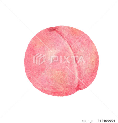 水彩で描いた桃 水彩で描いた桃 141409954