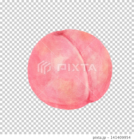 水彩で描いた桃 水彩で描いた桃 141409954