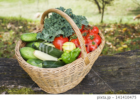 Vegetables harvest 141410475