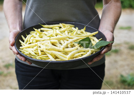 String beans String beans 141410537
