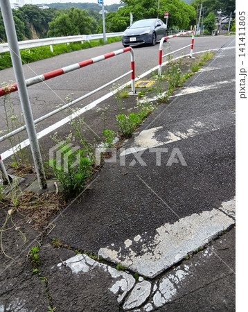 夏の路上 141411805