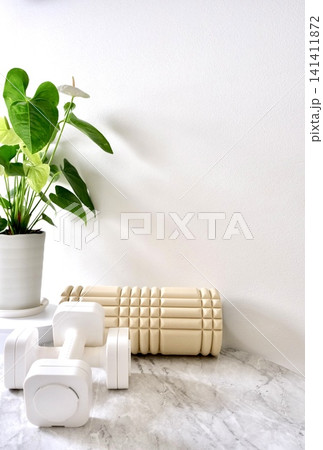 ホームトレーニング用品と観葉植物のあるシンプルな背景 ホームトレーニング用品と観葉植物のあるシンプルな背景 141411872