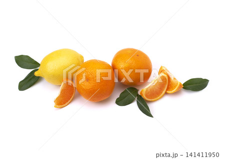 Oranges and yellow lemon on a white isolated background. Lemon and orange close-up. Juicy citrus fruits. 141411950