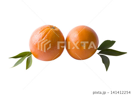 The fresh mandarines isolated on white background. Oranges are arranged in rows. Placed on a white background. The fresh mandarines isolated on white background. Oranges are arranged in rows. Placed on a white background. 141412254
