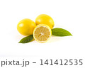 Lemons with leaves on a white background. Fresh lemons on a white background. 141412535