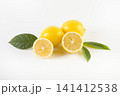 Lemons with leaves on a white background. 141412538