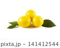 Lemons with leaves on a white background. Fresh lemons on a white background. 141412544