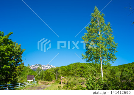 『乗鞍高原』残雪の乗鞍岳と一の瀬園地周辺の新緑風景《長野県 松本市》 『乗鞍高原』残雪の乗鞍岳と一の瀬園地周辺の新緑風景《長野県 松本市》 141412690