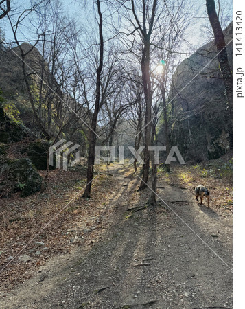 Wide mountain panorama with jagged rocky ridges under clear sky. Wide mountain panorama with jagged rocky ridges under clear sky. 141413420