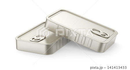 Two blank sardine cans 141413433