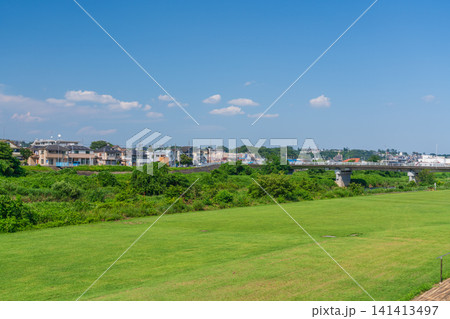 緑の公園と夏の青空 141413497