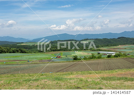 群馬県嬬恋村 愛妻の丘から見る広大な農地 群馬県嬬恋村 愛妻の丘から見る広大な農地 141414587